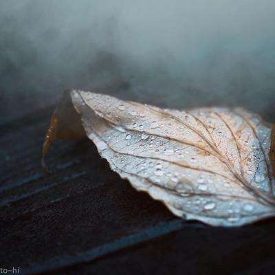 bob体育下载链接